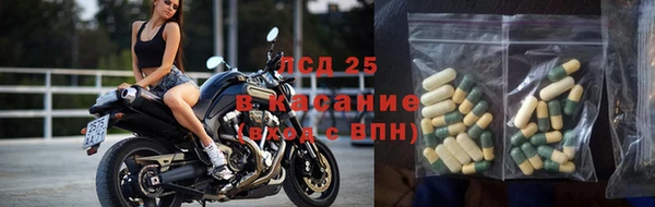 ГАЛЛЮЦИНОГЕННЫЕ ГРИБЫ Беломорск