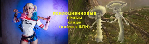 ГАЛЛЮЦИНОГЕННЫЕ ГРИБЫ Беломорск