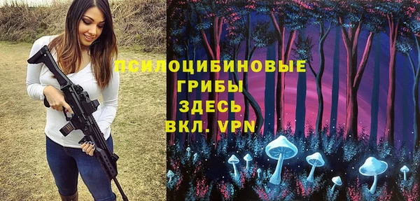 стаф Богородицк