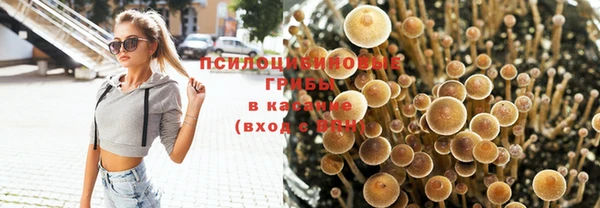 эйфоретик Семилуки