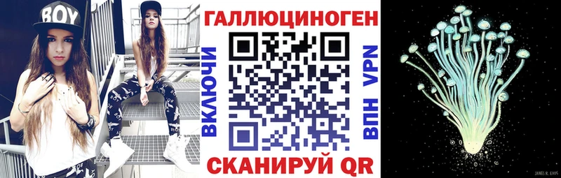 где продают Верхняя Пышма Псилоцибиновые грибы прущие грибы